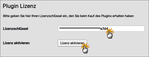 Aktivieren der Lizenz